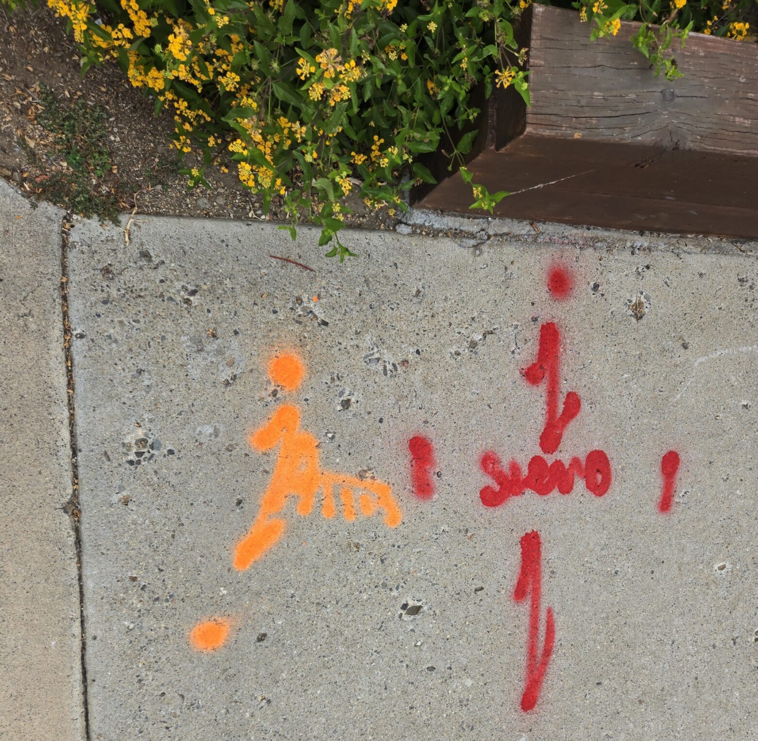 Dig Alert Cable Lines Stump Grinding & Removal, Tustin Tree Services