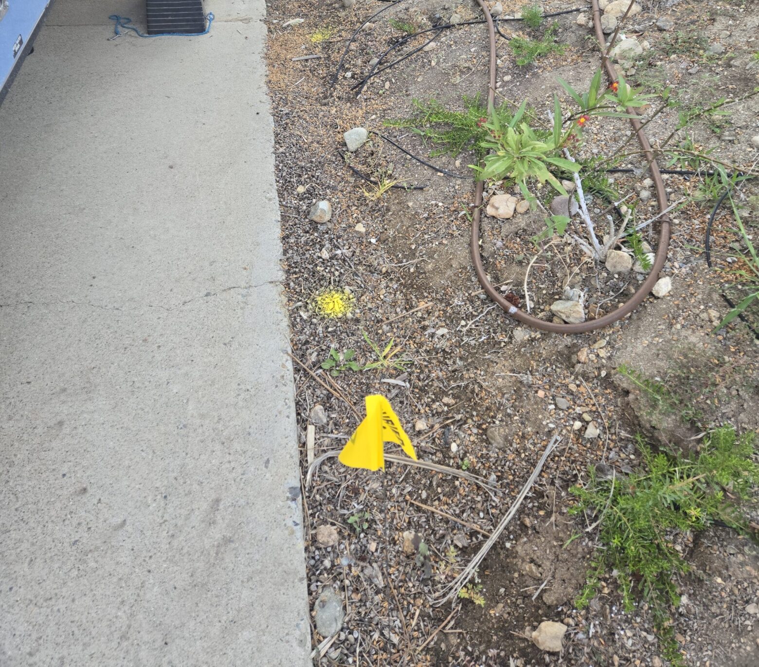 DigAlert – Gas Line Tree Removal, Tustin Tree Services, Trimming & Stump Removal