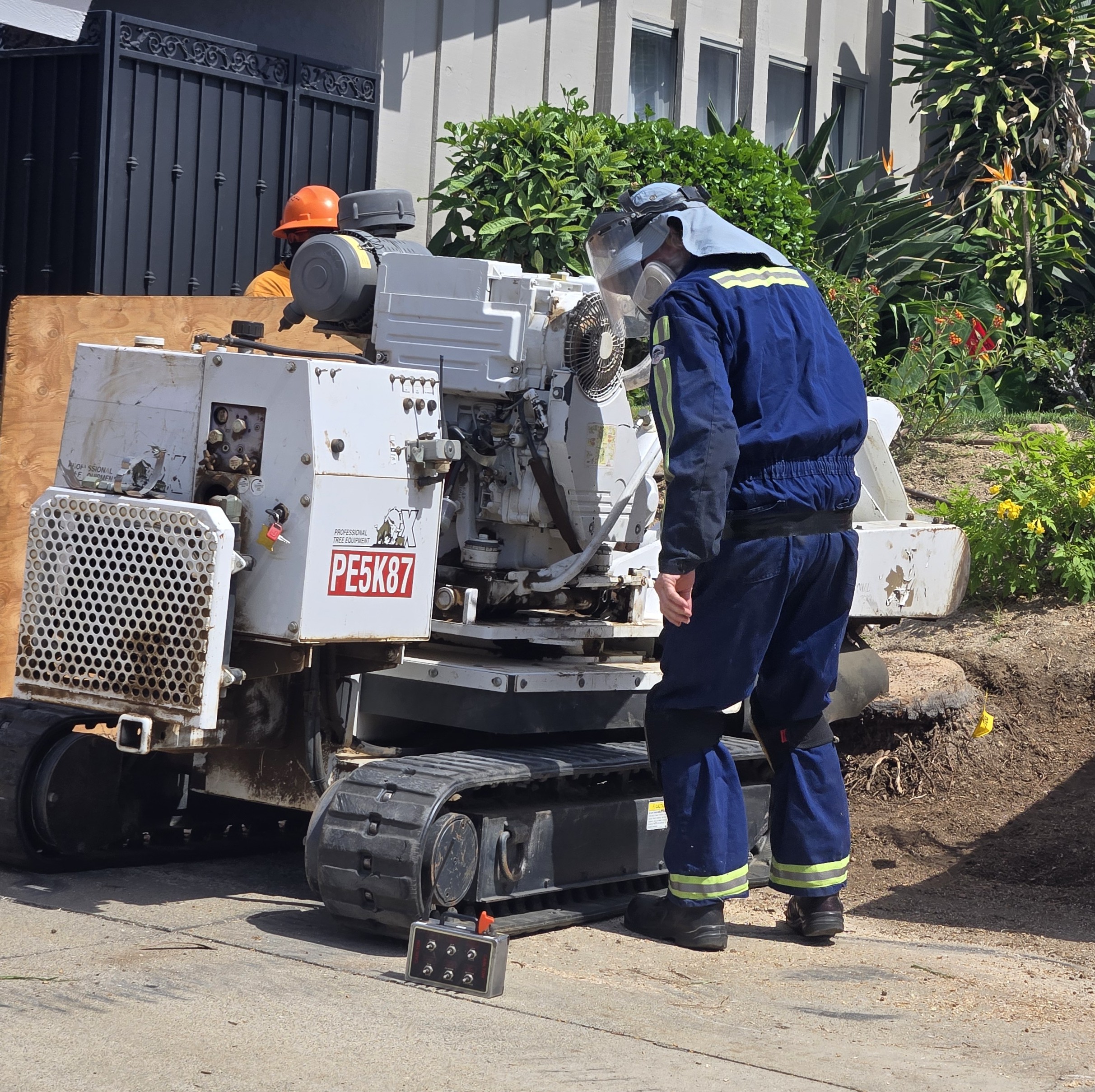 Stump Grinding, Yorba Linda, Stump Grinding & Removal, Tustin Tree Services