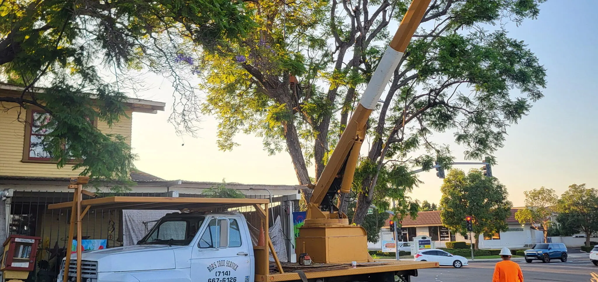 Tree Service Tree Trimming, Tustin Tree Services, Tree Pruning & Removal